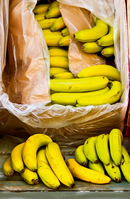 Des bananes à la cocaïne