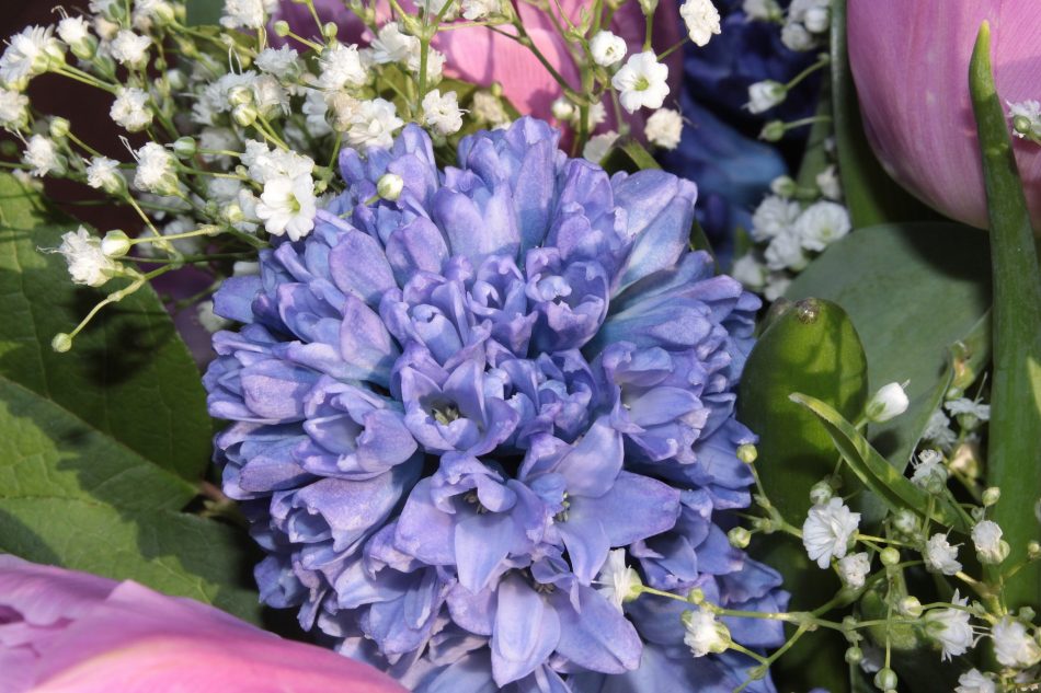 Bouquets du Jour : Aquarelle.com étoffe son offre