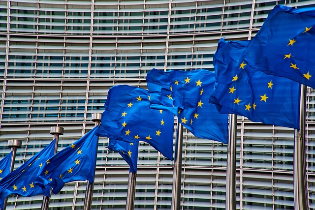 Plateformes de e-commerce : la Commission européenne alertée par 8 Etats membres
