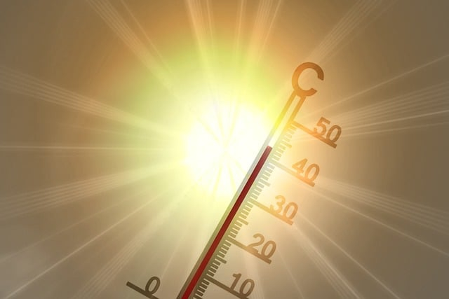 Canicule et filières : Coopérative U et Carrefour s’engagent