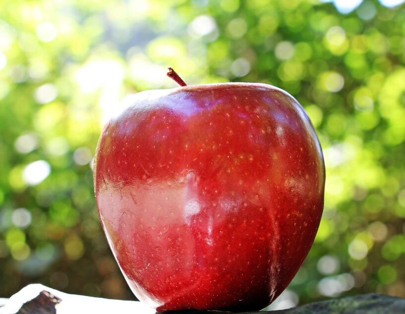 Intermarché et Netto ne commercialiseront que des pommes 100% françaises