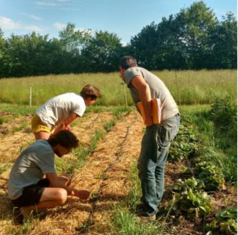 Jardin BiO étic, La Boulangère Bio et Vrai dévoilent les lauréats de l’appel à projets « Transition agricole biologique et solidaire »