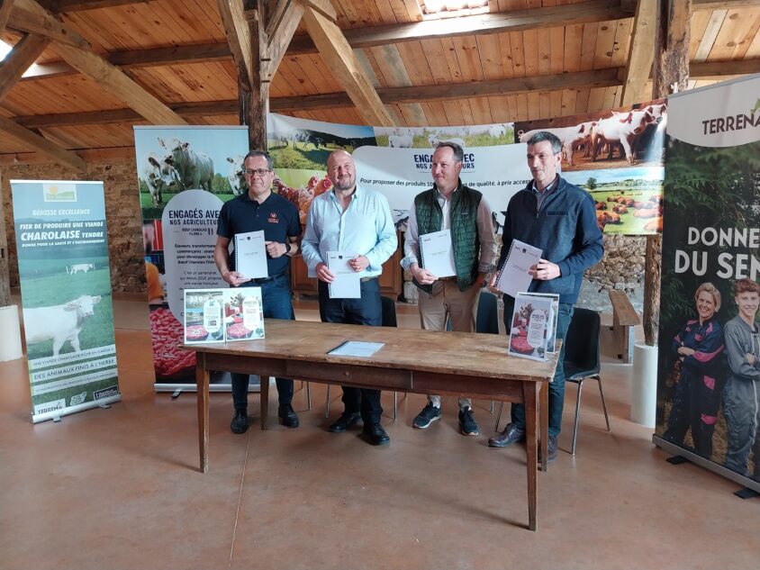 Terrena, Elivia et la Coopérative U renouvellent leur partenariat pour la filière Charolais U