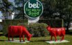 Le fromager Bel st en croissance, notamment grace à ses marchés végétaux et internationaux