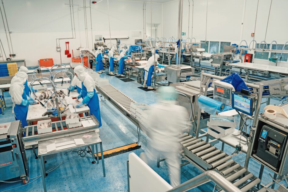 Le réseau Le Saint investit 1,5 millions d’euros dans son usine à Lorient