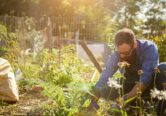 Jardinage bricolage : Des marchés qui ont bénéficié de la crise, Points de Vente