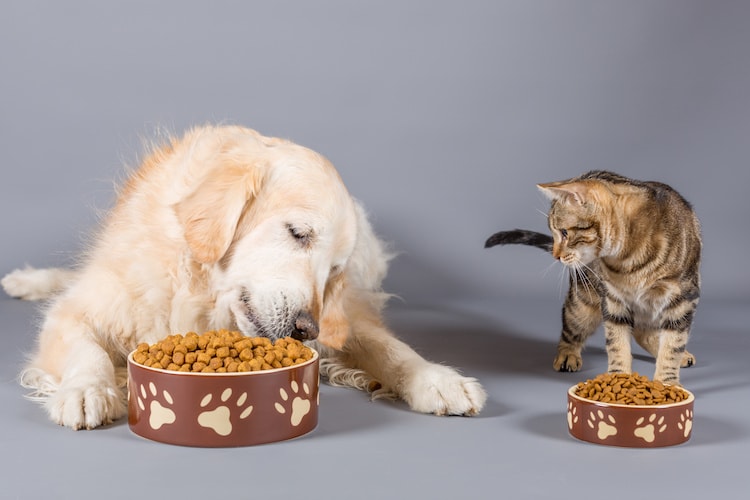 Les consommateurs souhaent une aliment de plus grande qualité pour leurs animaux doméstiques