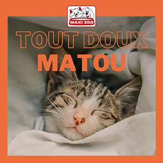 Maxi Zoo : des innovations en faveur du bien-être animal
