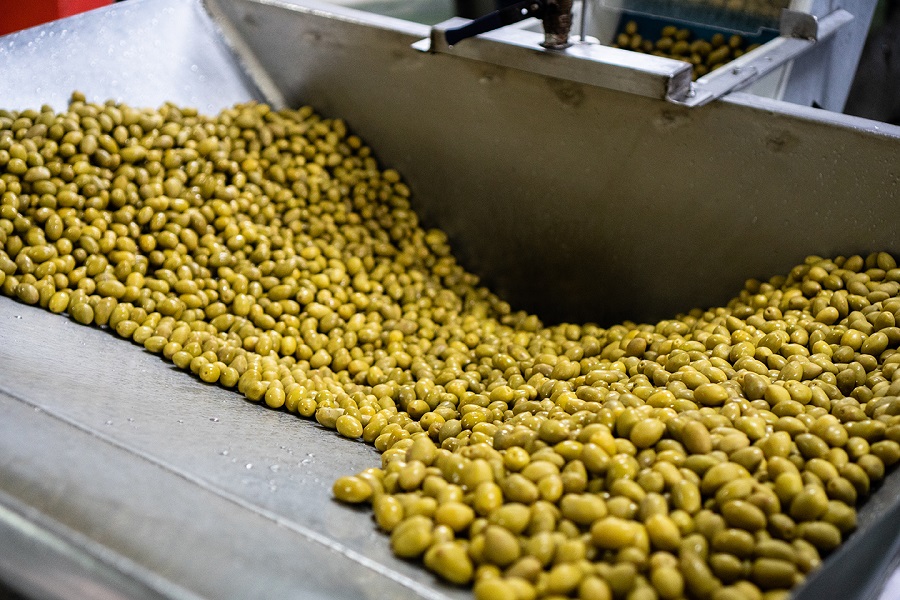 Le Brin d’Olivier : Un terroir riche pour une offre élargie