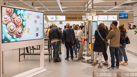 Ikea : L’intelligence artificielle au service de la performance du magasin Ikea : L’intelligence artificielle au service de la performance du magasin