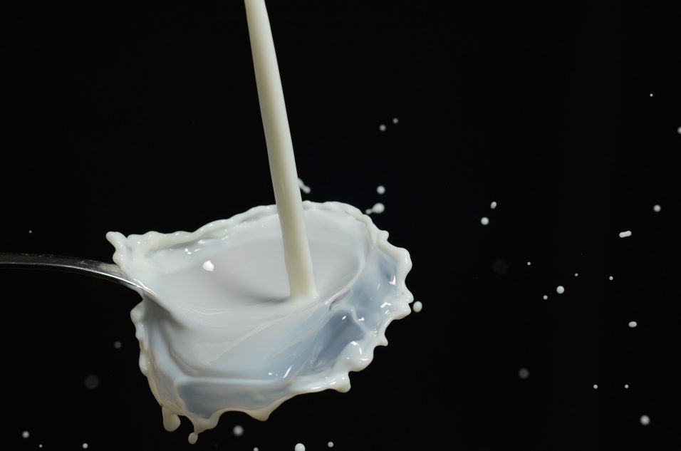 Filière laitière : Intermarché et Savencia s’engagent