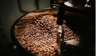 Le nordiste M&eacute;o s'impose sur un march&eacute; tr&egrave;s concurrentiel